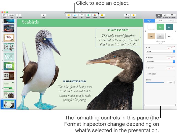 The Keynote window with callouts to the object buttons in the toolbar