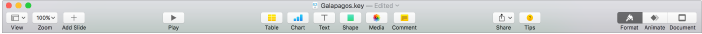 The Keynote toolbar with buttons for View, Zoom, Add Slide, Play, Keynote Live, Table, Chart, Text, Shape, Media, Comment, Collaborate, Tips, Format, Animate, and Document