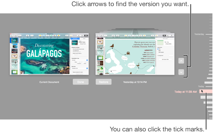 Revert view showing tick marks and arrows