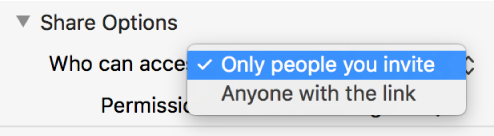 The Share Options section of the collaboration dialog with the “Who can access” pop-up menu open and “Only people you invite” selected.