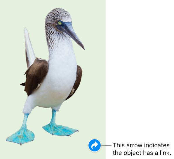 A link indicator on an image.