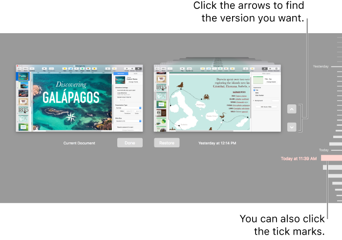 Revert view showing tick marks and arrows.