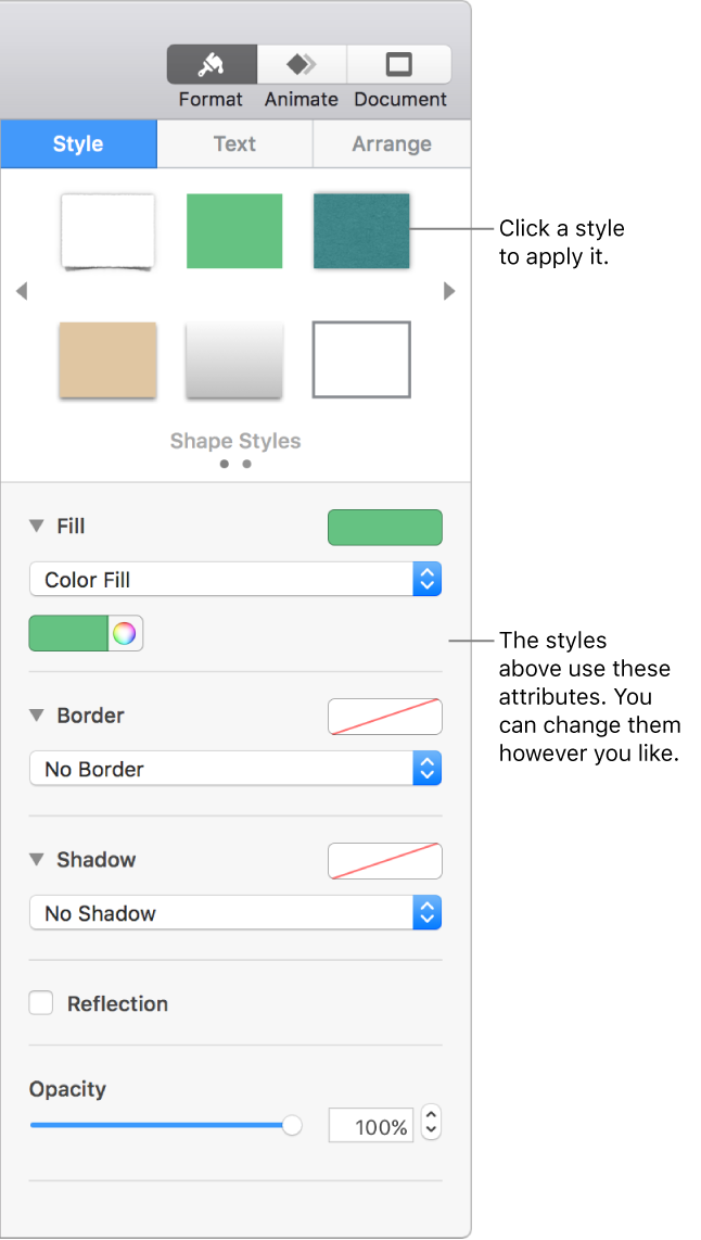 Shape styles and options in the Format section of the sidebar.