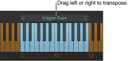 Figure. Action of chord transposition.