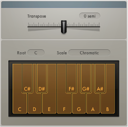 Figure. Transposer window.