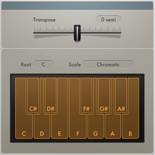 Figure. Transposer window.