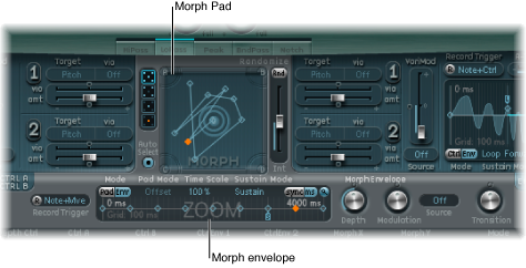 Figure. Morph section.