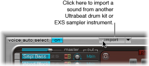 Figure. Import button.