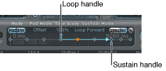 Figure. Loop and sustain handles.