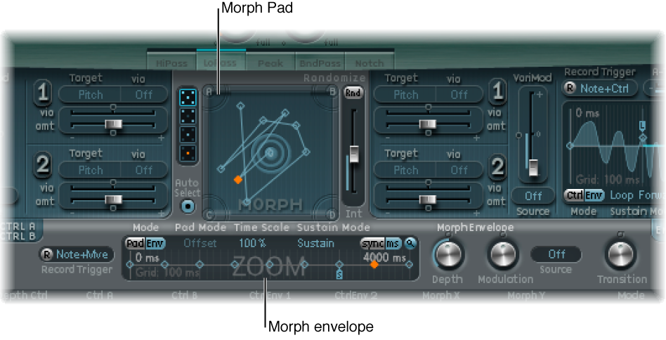 Figure. Morph section.