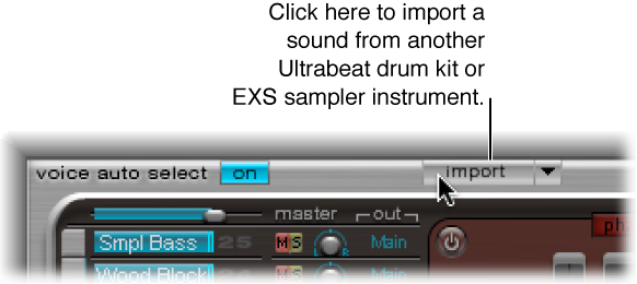 Figure. Import button.