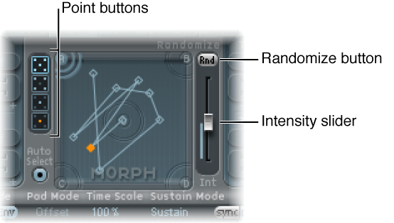Figure. Morph Pad, showing Point buttons and Randomze parameters.