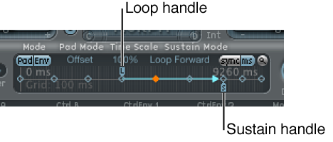 Figure. Loop and sustain handles.