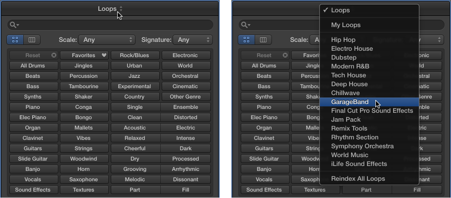 Figure. The Loops pop-up menu showing available loops.