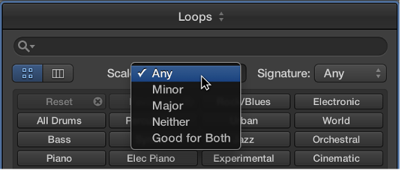 Figure. Scale pop-up menu in the Loop Browser.