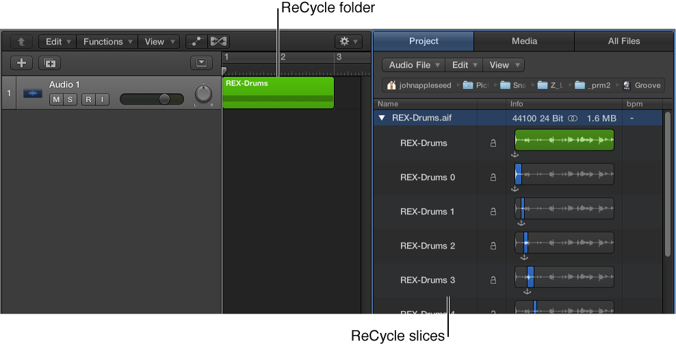 Figure. ReCycle folder in the Tracks area and ReCycle slices in the Project Audio Browser.