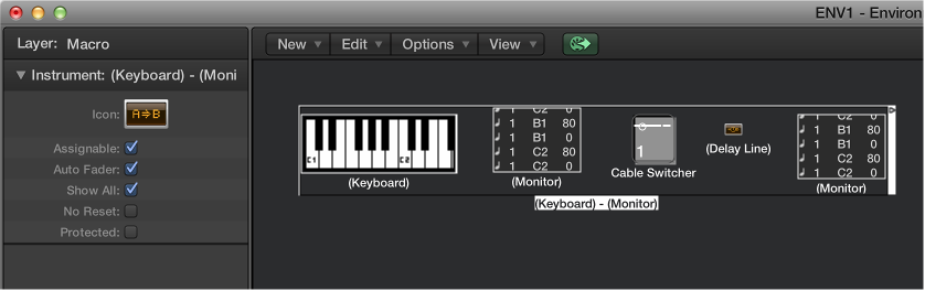 Figure. Environment window showing a macro object and its inspector.