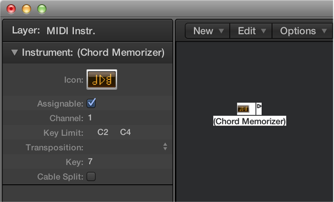 Figure. Environment window showing a chord memorizer object and its inspector.