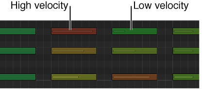 Figure. Different vote velocities indicated by colors in Piano Roll Editor.