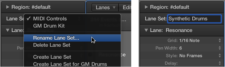 Figure. Entering a Lane Set name in the Inspector.