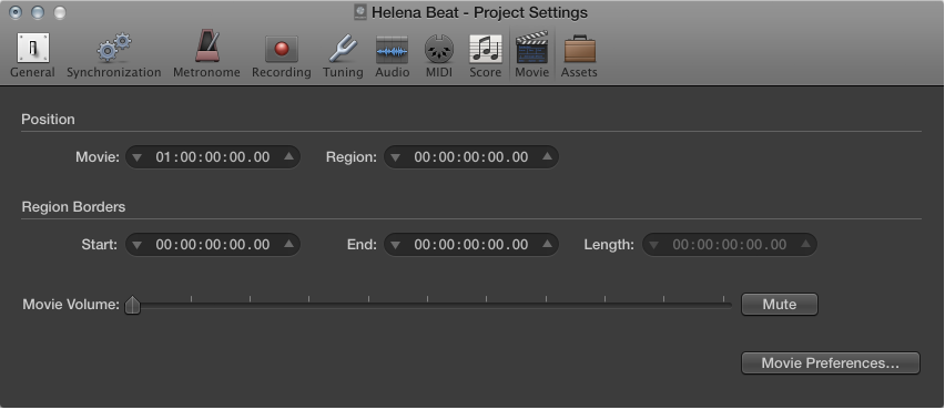 Figure. Movie settings.