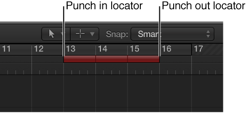 Figure. Showing the autopunch area's punch in and out locators.