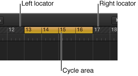 Figure. Bar ruler with cycle area between the left and right locators.