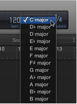 Figure. Key pop-up menu in the LCD.