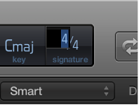 Figure. Time signature in the LCD selected, ready to enter a new value.