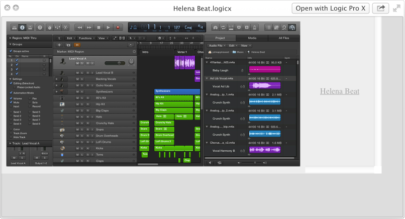 Figure. Quick Look image of a selected project file in the Finder.