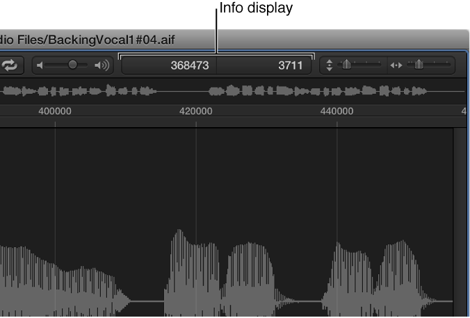 Figure. Info display in the Sample Editor.