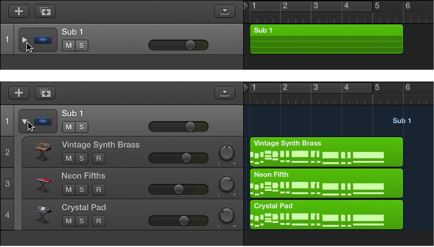 Figure. Track Stack with disclosure triangle closed and open.