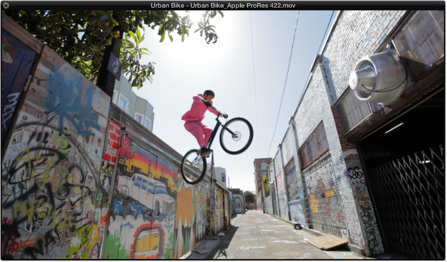 Figure. Movie window.