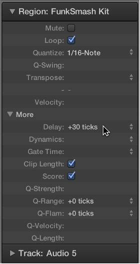 Figure. Delay parameter in the Region inspector.