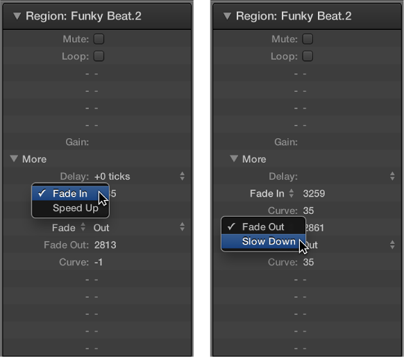 Figure. Speed Up and Slow Down parameters in the Region inspector.
