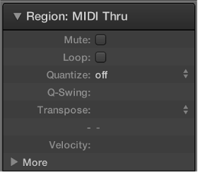 Figure. Quantize parameter in the Region inspector.