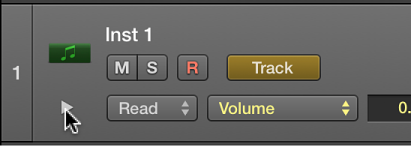 Figure. Pointing to the subtrack disclosure triangle.