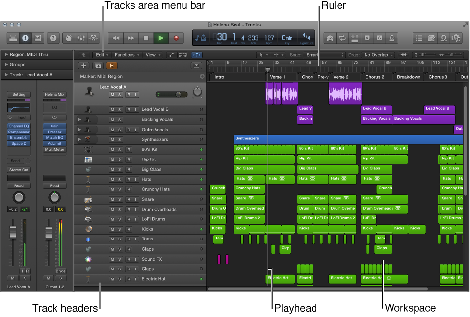 Figure. The Tracks area.