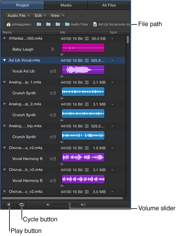 Figure. The Project Audio Browser.
