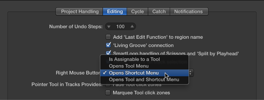 Figure. Right Mouse Button menu in the Editing pane in the General preferences.