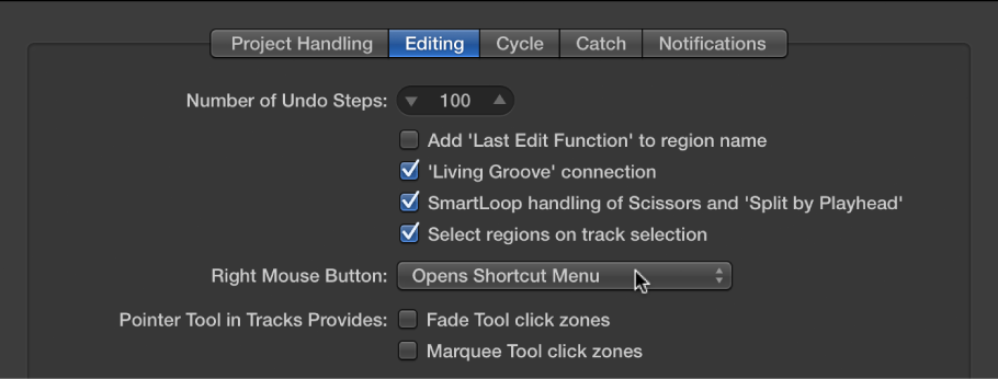 Figure. Pointer Tool checkboxes in the Editing pane in the General preferences.