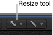 Figure. Resize tool.