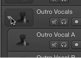 Figure. Clicking the disclosure triangle in the Track Stack header.
