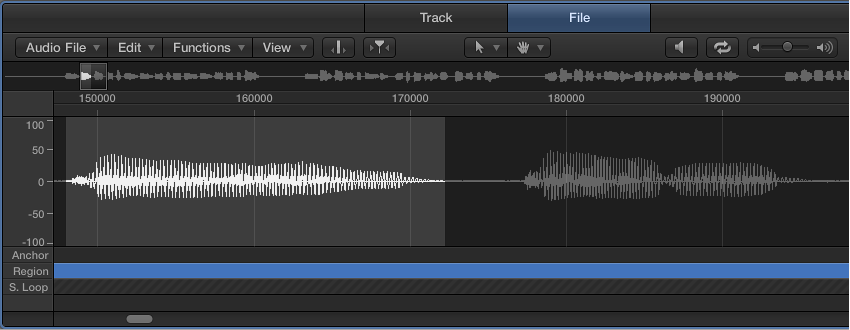 Figure. The Audio File Editor, showing the waveform of the selected audio file.