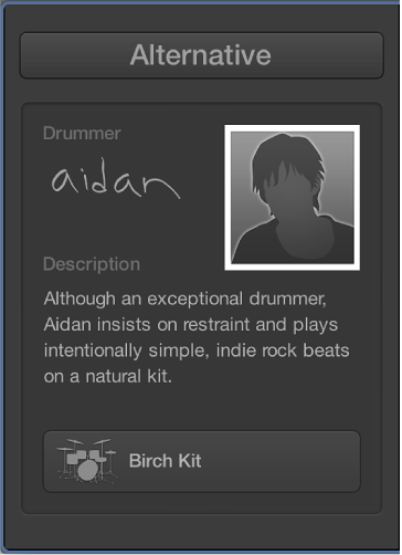 Figure. The character card for the drummer Aidan.