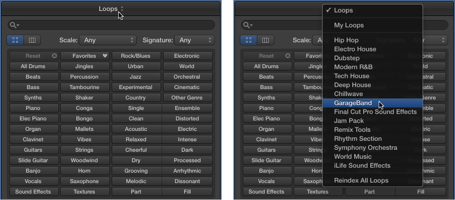 Figure. The Loops pop-up menu showing available loops.