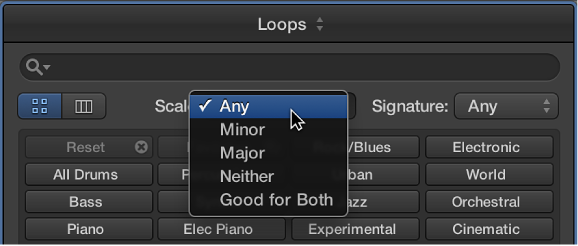 Figure. Scale pop-up menu in the Loop Browser.