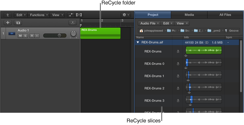 Figure. ReCycle folder in the Tracks area and ReCycle slices in the Project Audio Browser.