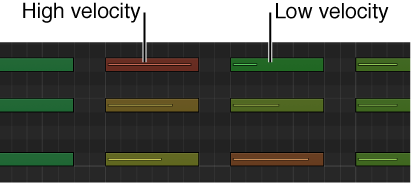 Figure. Different vote velocities indicated by colors in Piano Roll Editor.