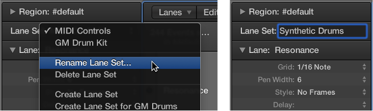 Figure. Entering a Lane Set name in the Inspector.